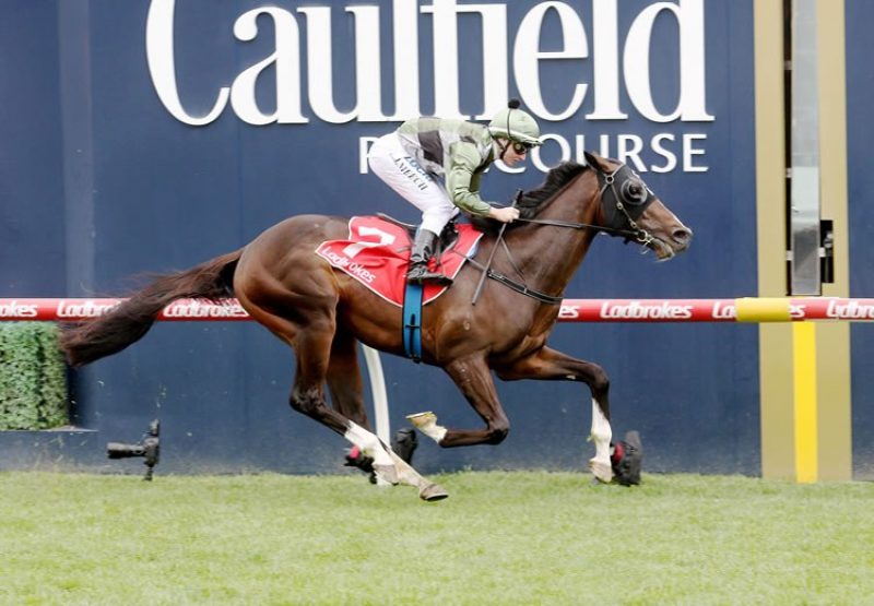 Thought Of That (So You Think) winning the Gr.3 MRC Ladbrokes Classic at Caulfield