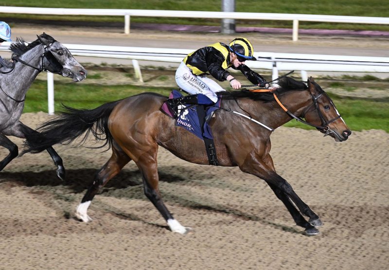 Touch The Sound (Churchill)  Wins Dundalk Maiden