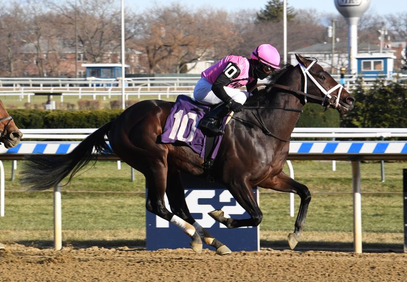 Trash Talker (Competitive Edge) Breaking Maiden Aqueduct