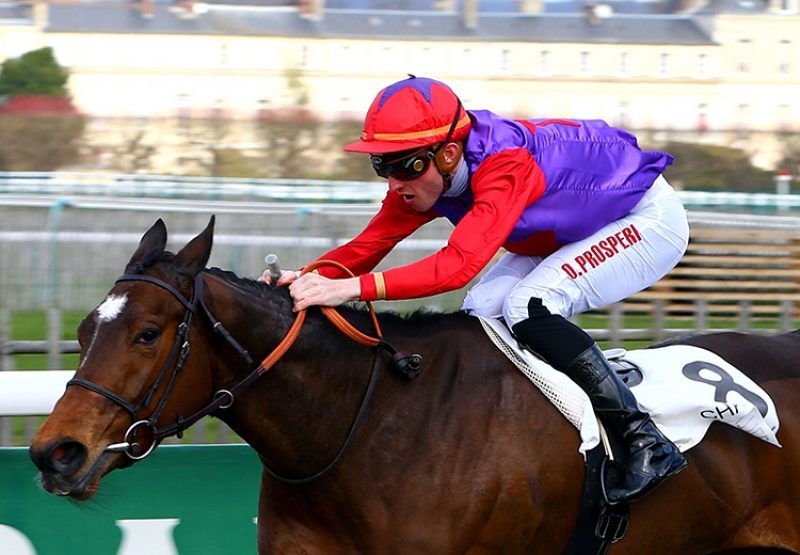Viola Da Terra (Requinto) winning at Chantilly
