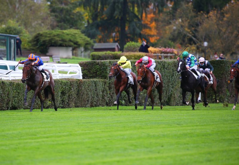 Van Gogh (American Pharoah) Wins Gr.1 Criterium International at Saint-Cloud