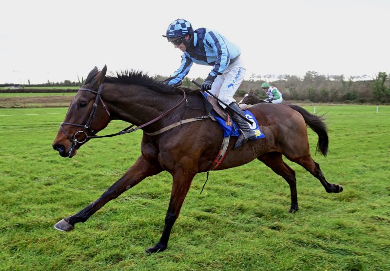 Walk Tall (Walk In The Park) Wins The 4Yo Maiden At Ballindenisk