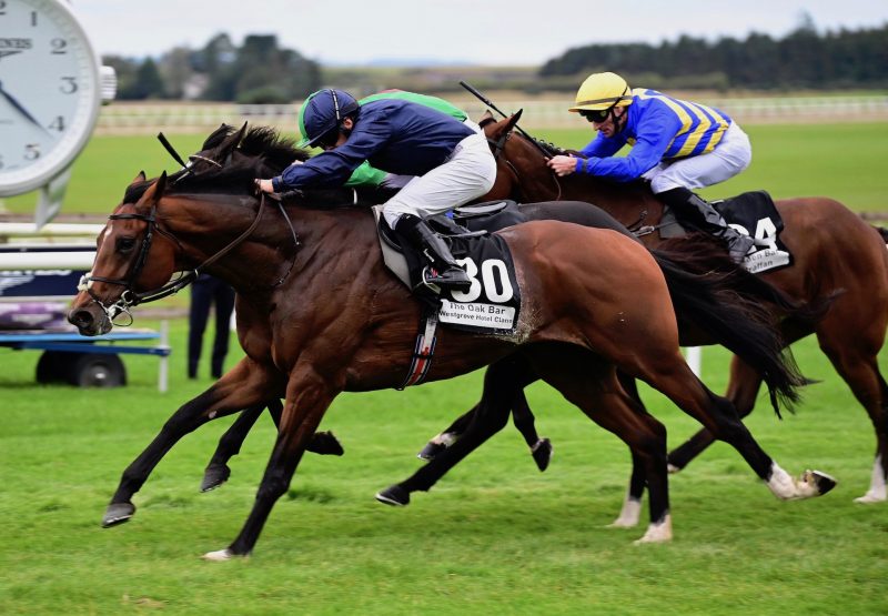 Waterville (Camelot) Wins The Irish Cesarewitch at the Curragh