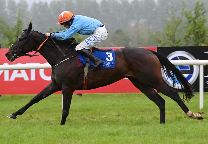 Western Cowboy (Westerner) Wins The Maiden Hurdle At Limerick