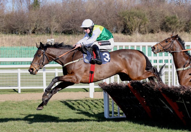 Wetlands Wins The Novices Hurdle At Newcastle 1