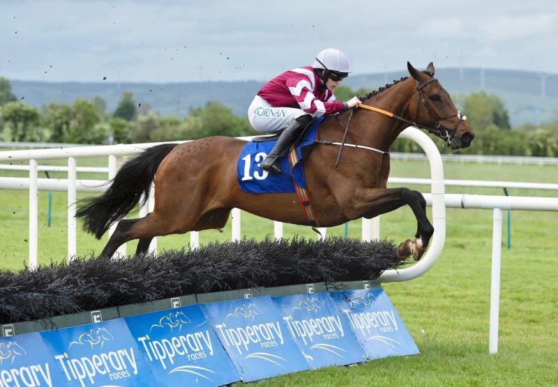 Whacker Clan (Westerner) Wins The Maiden Hyrdle At Tipperary
