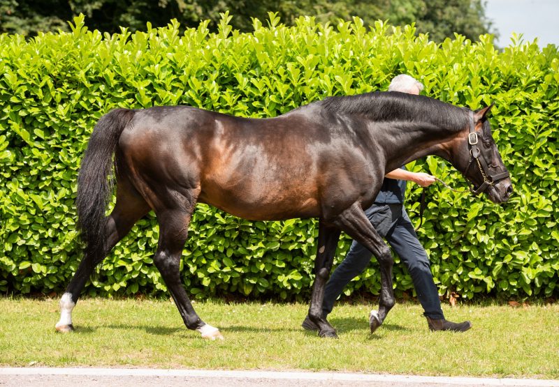 Yeats walking