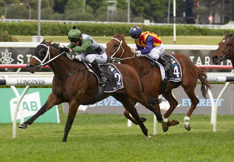 Yes Yes Yes (Rubick) winning the $14 million Everest at Randwick in record-breaking time