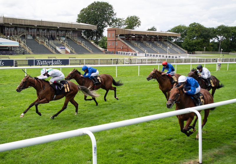 Youth Spirit Wins His Maiden At Newmarket 1