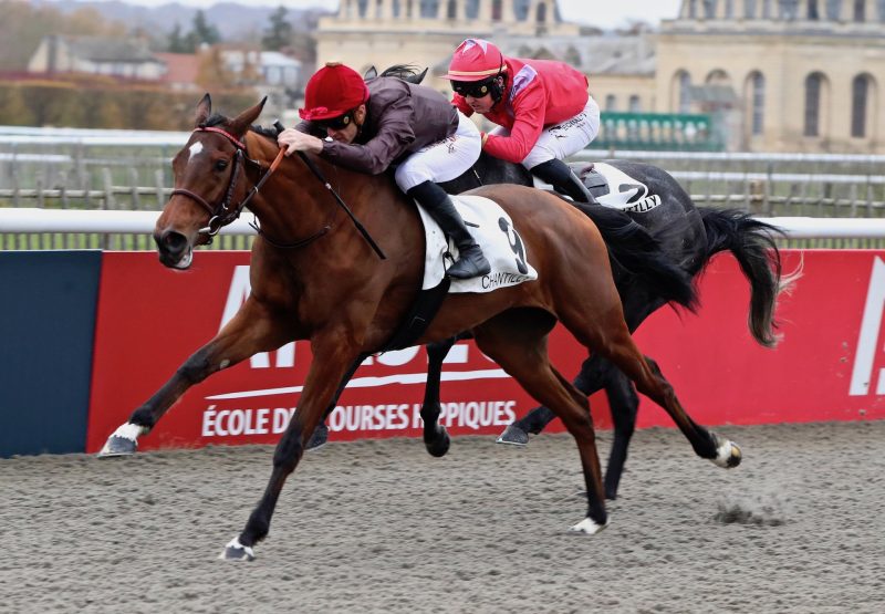 Zvaroshka (Camelot) Wins Her Maiden At Chantilly