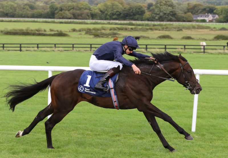 All The Kings Men (No Nay Never) winning a maiden at Naas