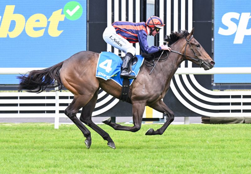 Almost A Angel Caulfield 750