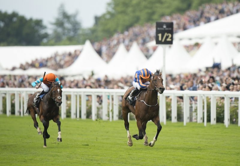 Churchill (Galileo) winning the Chesham Stakes (L) at Royal Ascot