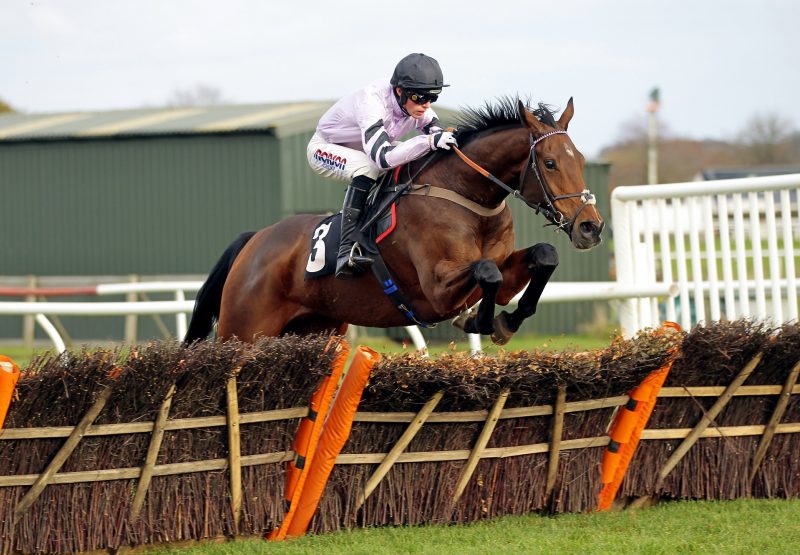 Getaway Trump (Getaway) winning over hurdles at Exeter