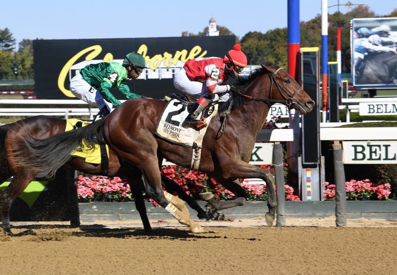 Graphic Detail (Practical Joke) winning Belmont Park Msw