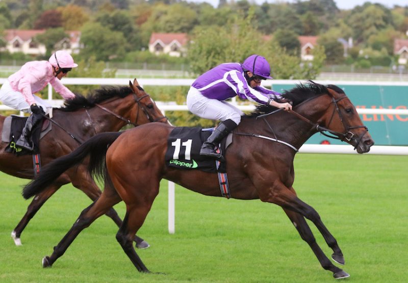 I Can Fly (Fastnet Rock) winning the G2 Boomerang Stakes at Leopardstown