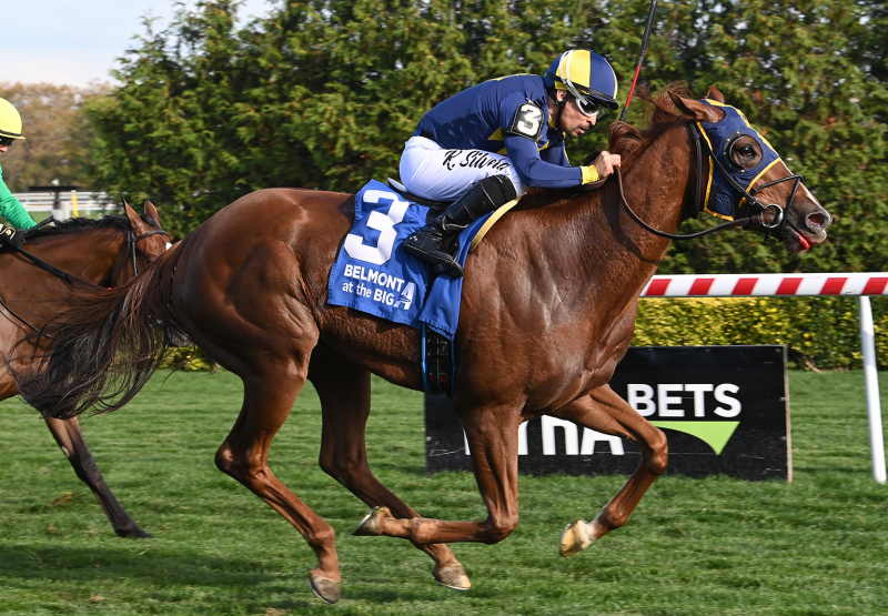 Living Magic (Justify) Wins Chelsey Flower at Belmont at Aqueduct