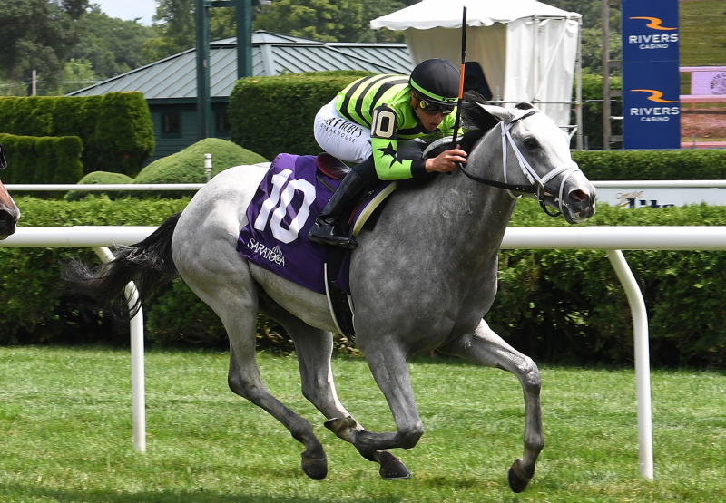 Out On Bail (Tiz The Law) Wins Saratoga Msw