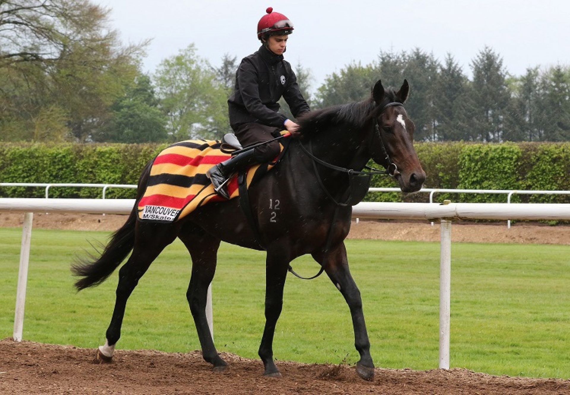 Vancouver at Ballydoyle