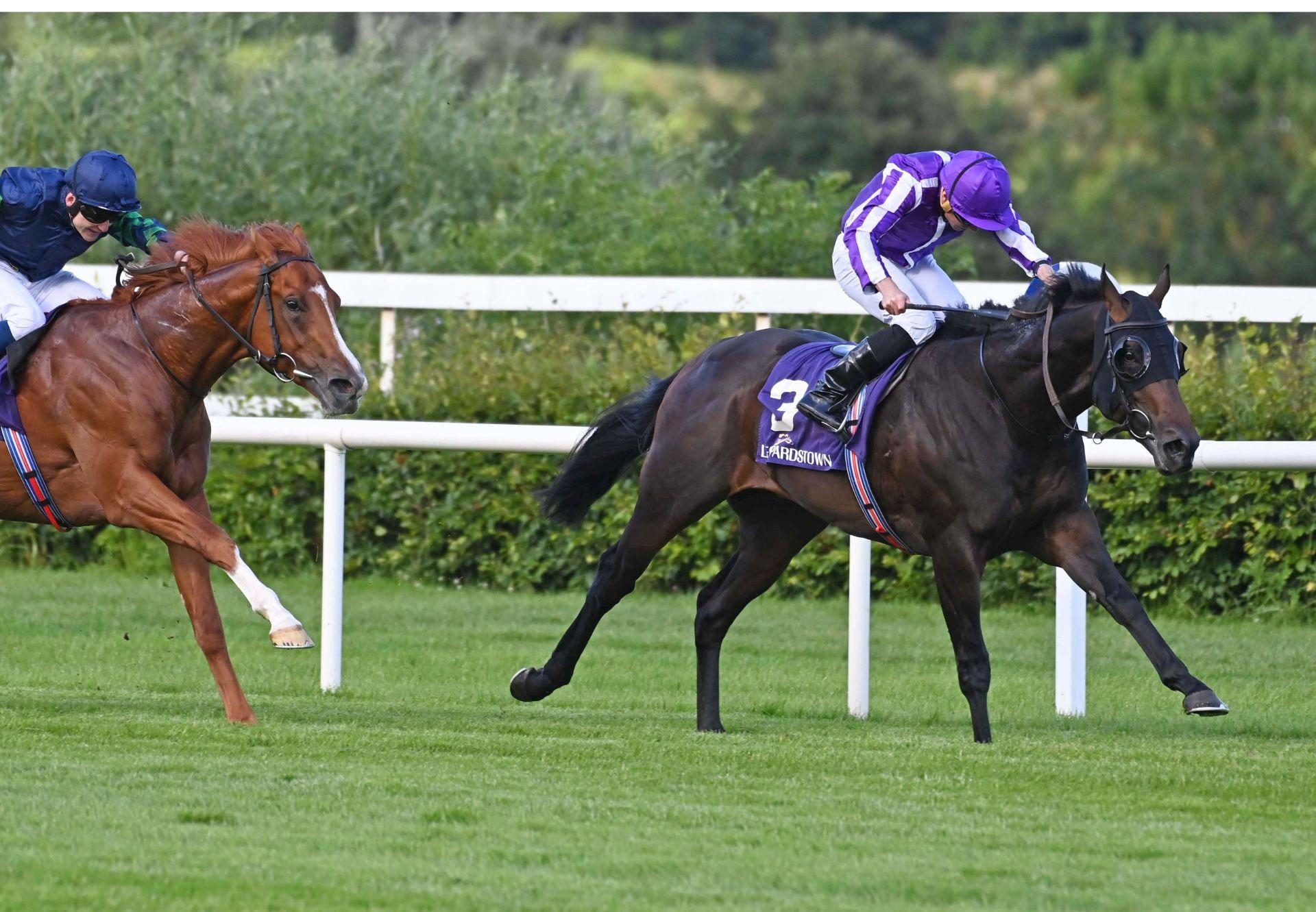 Henry Adams (No Nay Never) wins the Gr.3 Tyros Stakes at Leopardstown