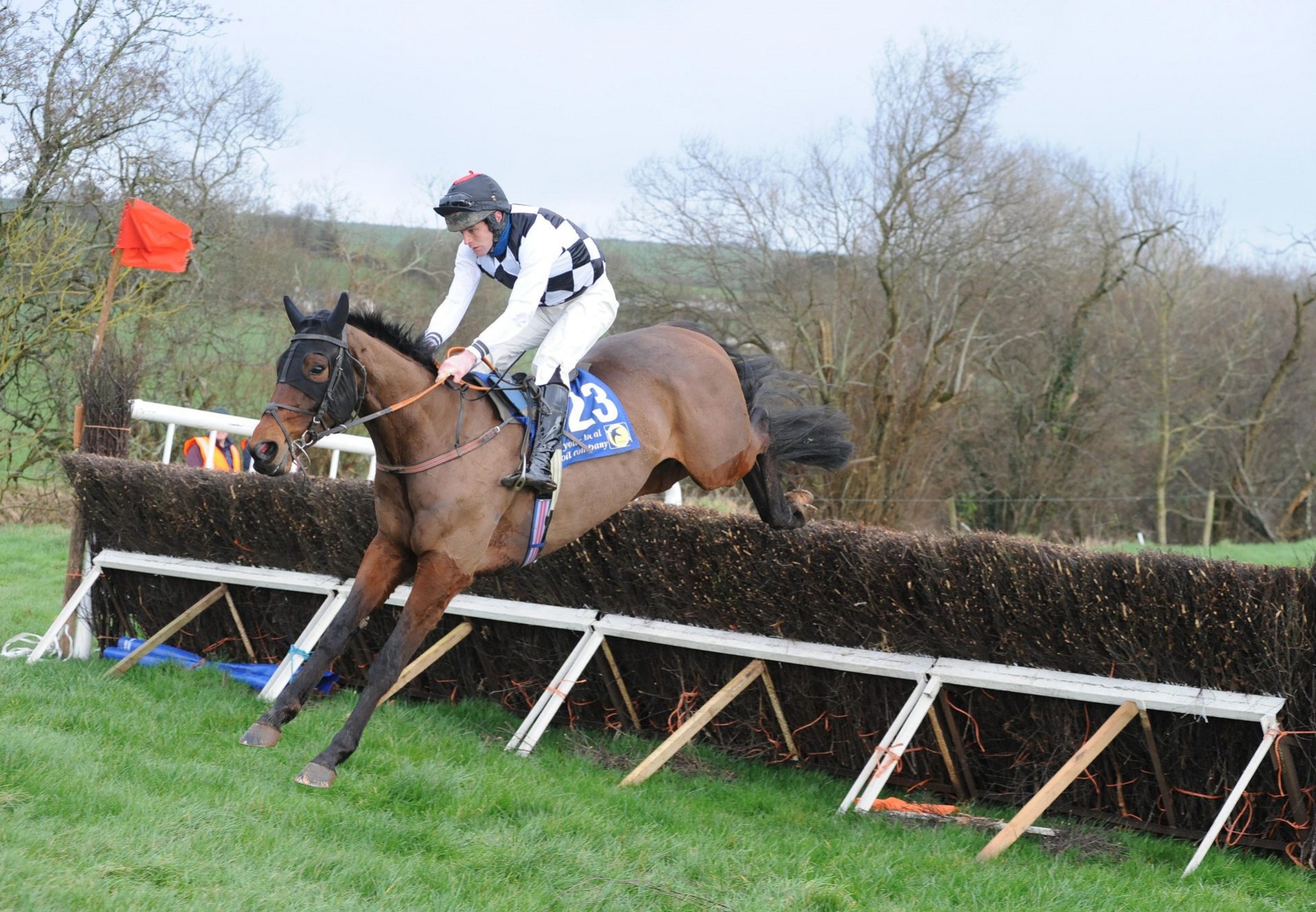 Matata (Vadamos) winning the 4YO Maiden at Tallow