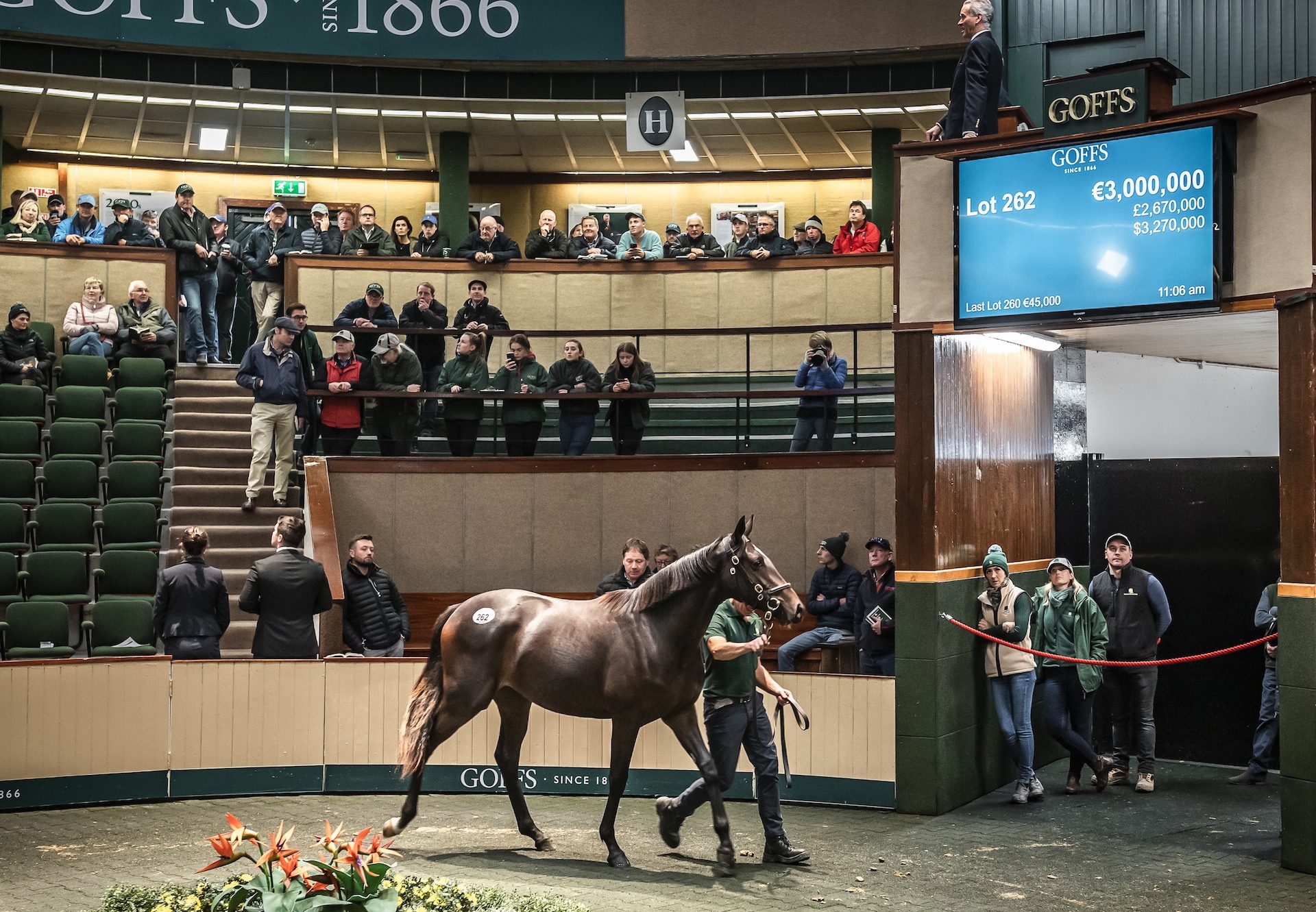2019 Goffs Orby Sales Topper By Galileo Ex Green Room