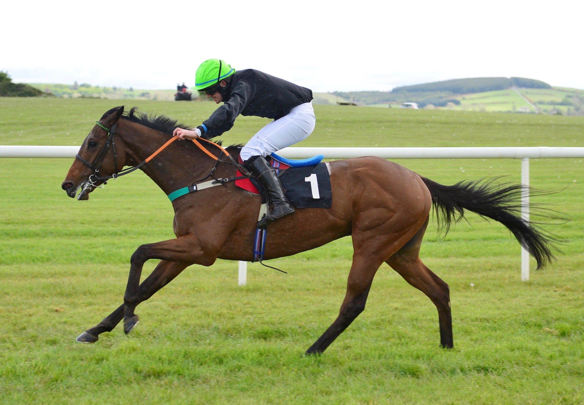A Fortune Out West (Soldier Of Fortune) Wins The 4 YO Maiden At Punchestown