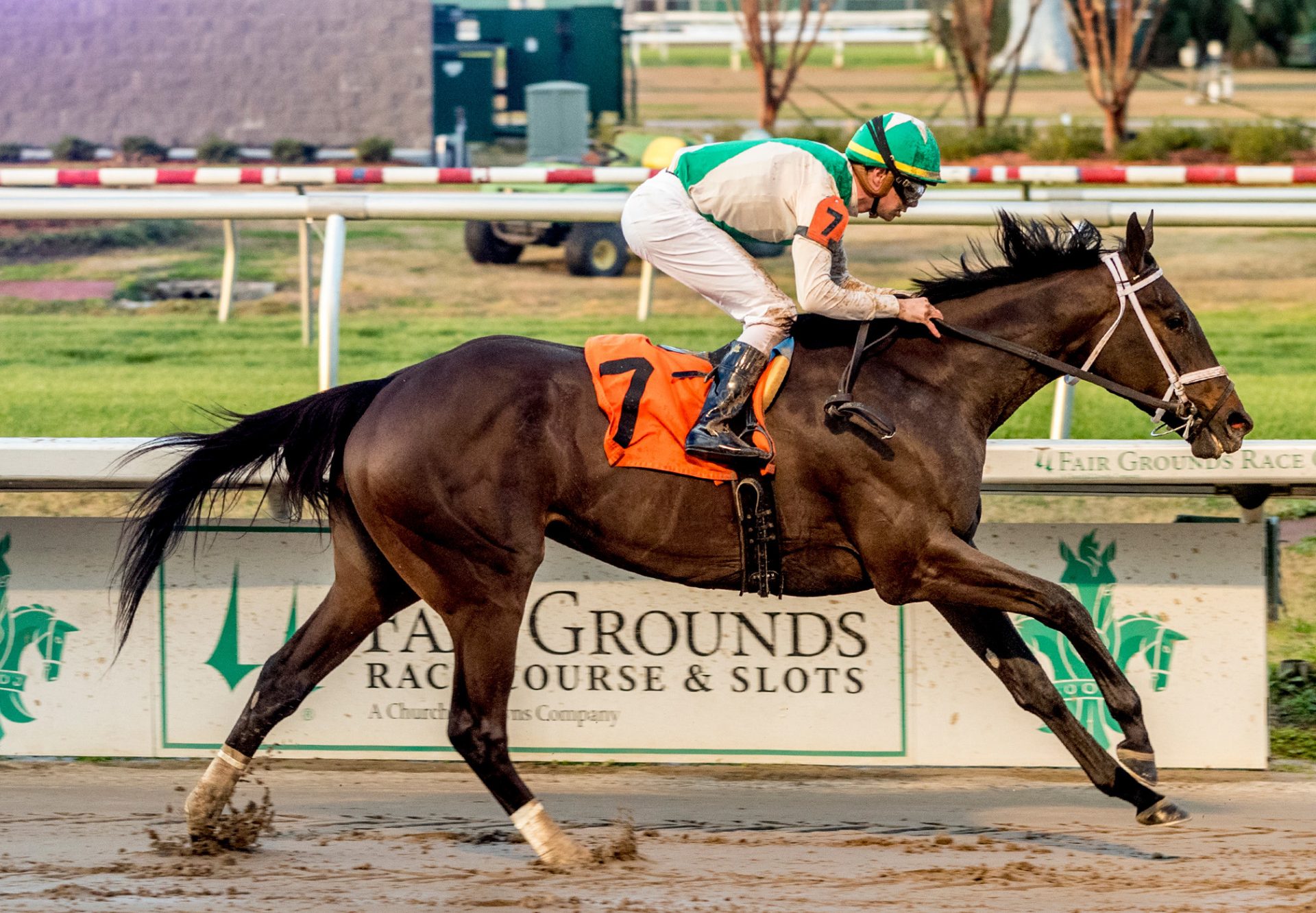 A Mo Reay (Uncle Mo) Wins Pago Hop Stakes at Fair Grounds