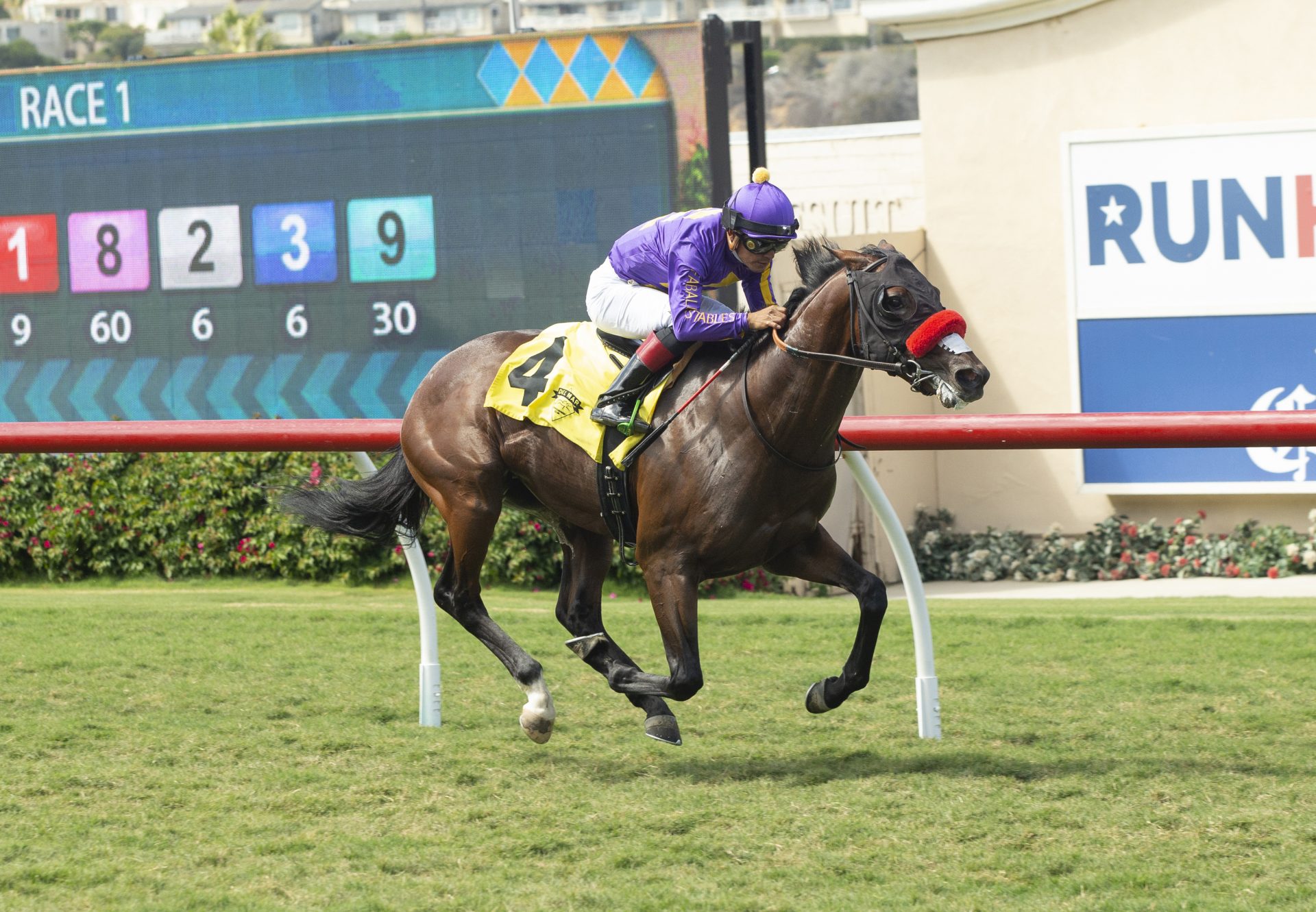 Ah Jeez (Mendelssohn) Wins Del Mar MSW