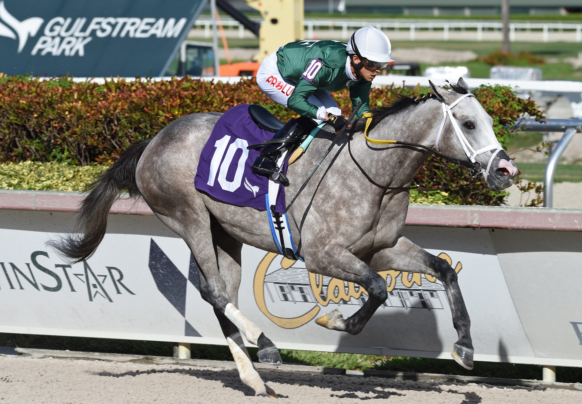 A.P.'s Secret (Cupid) winning Gulfstream Msw