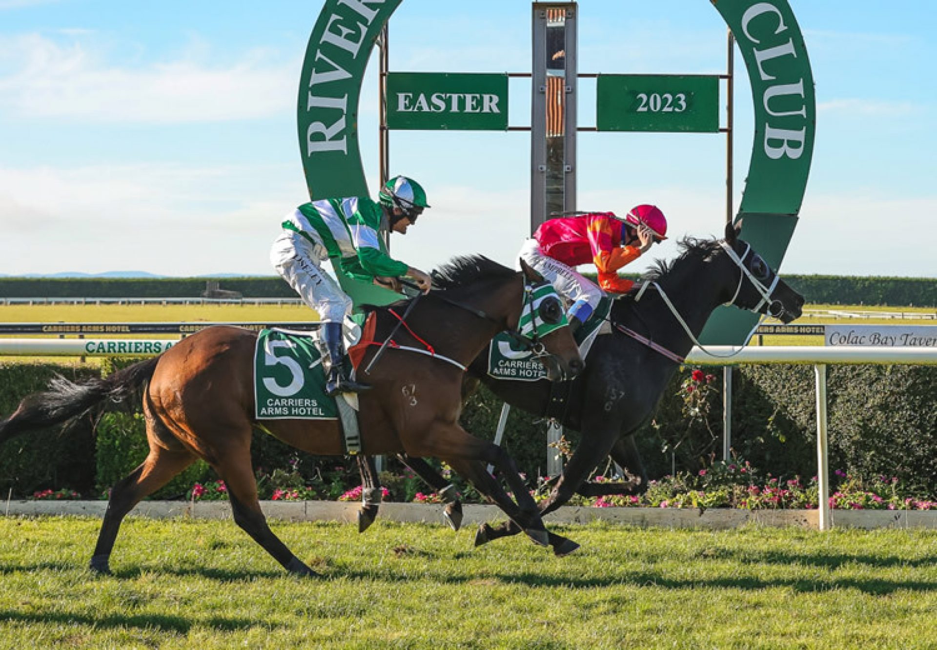 Asathought (So You Think) winning the Listed Riverton Cup at Riverton