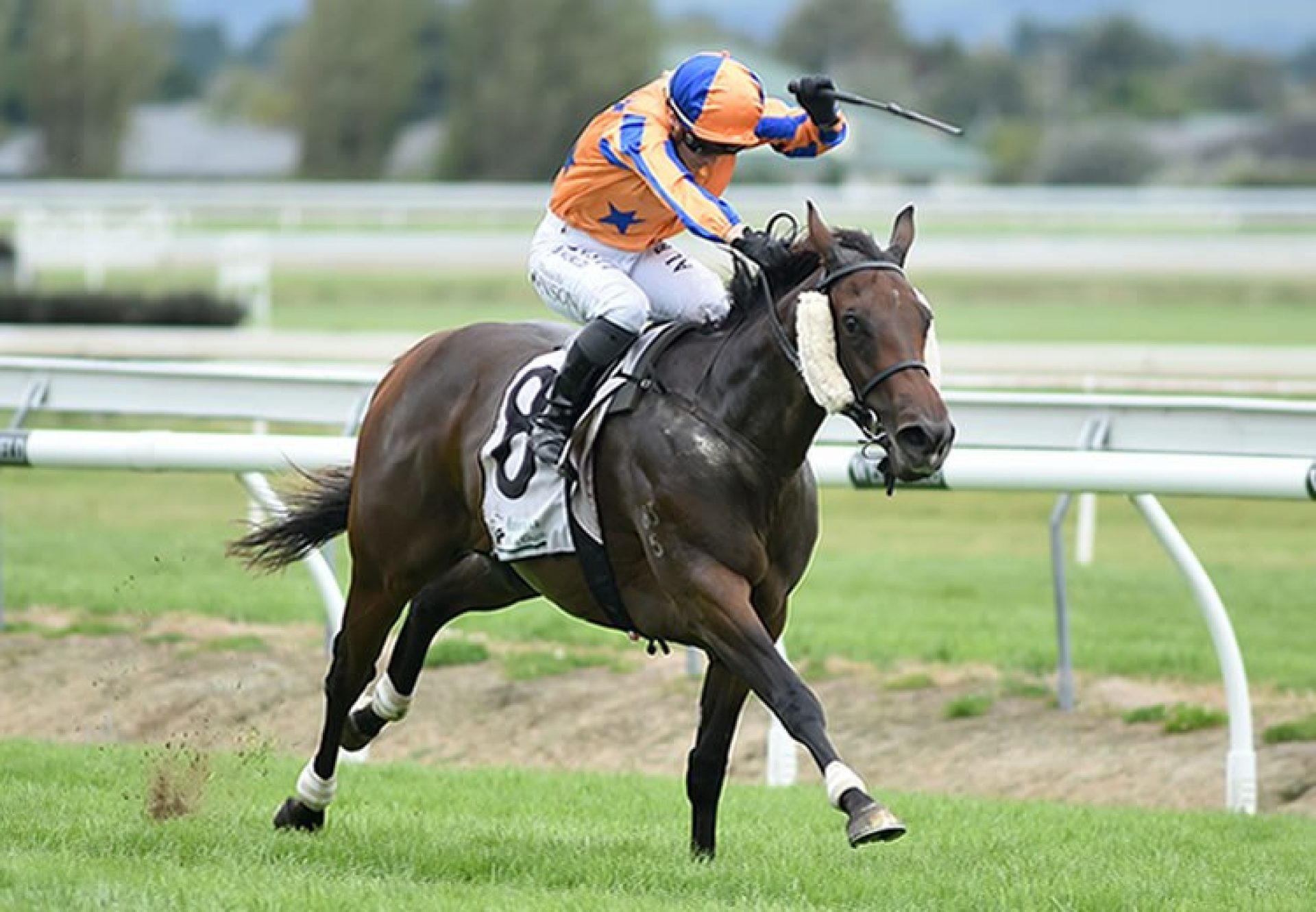 Avantage (Fastnet Rock) winning the G1 Manawatu Sires’ Produce Stakes at Awapuni