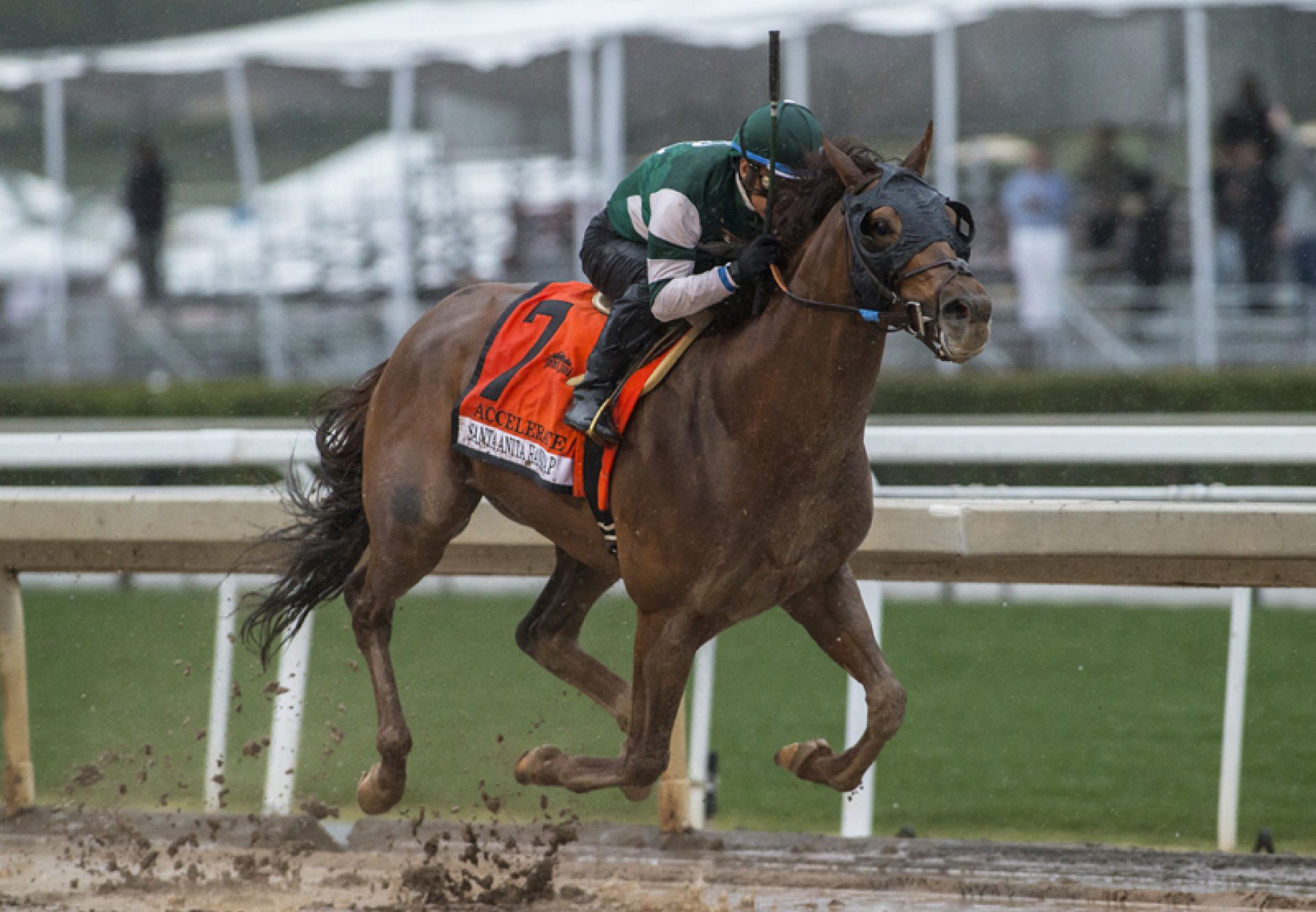 Accelerate (Lookin At Lucky) Winning The G1 Santa Anita Handicap