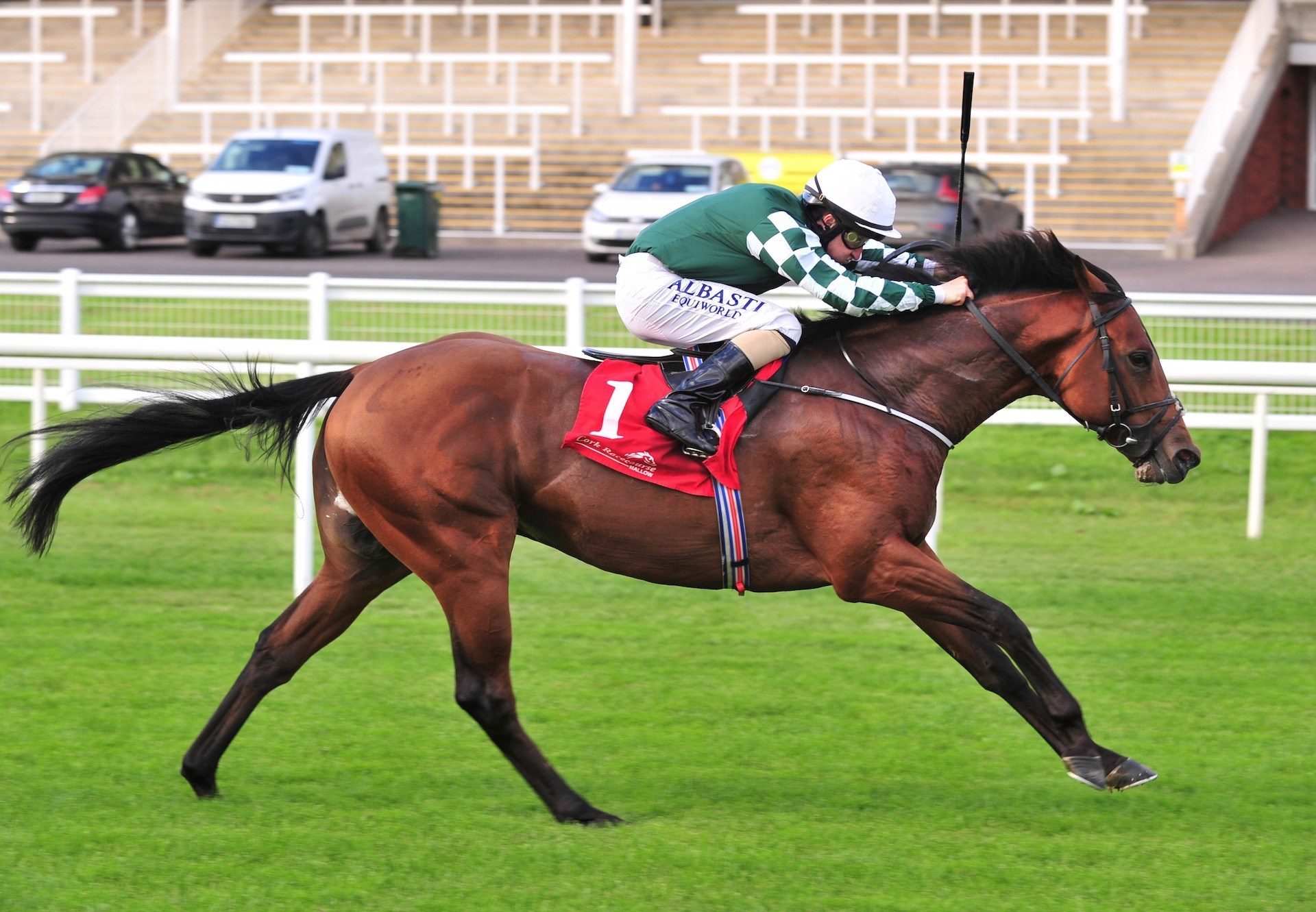 Ace Aussie (Australia) Wins His Maiden At Cork