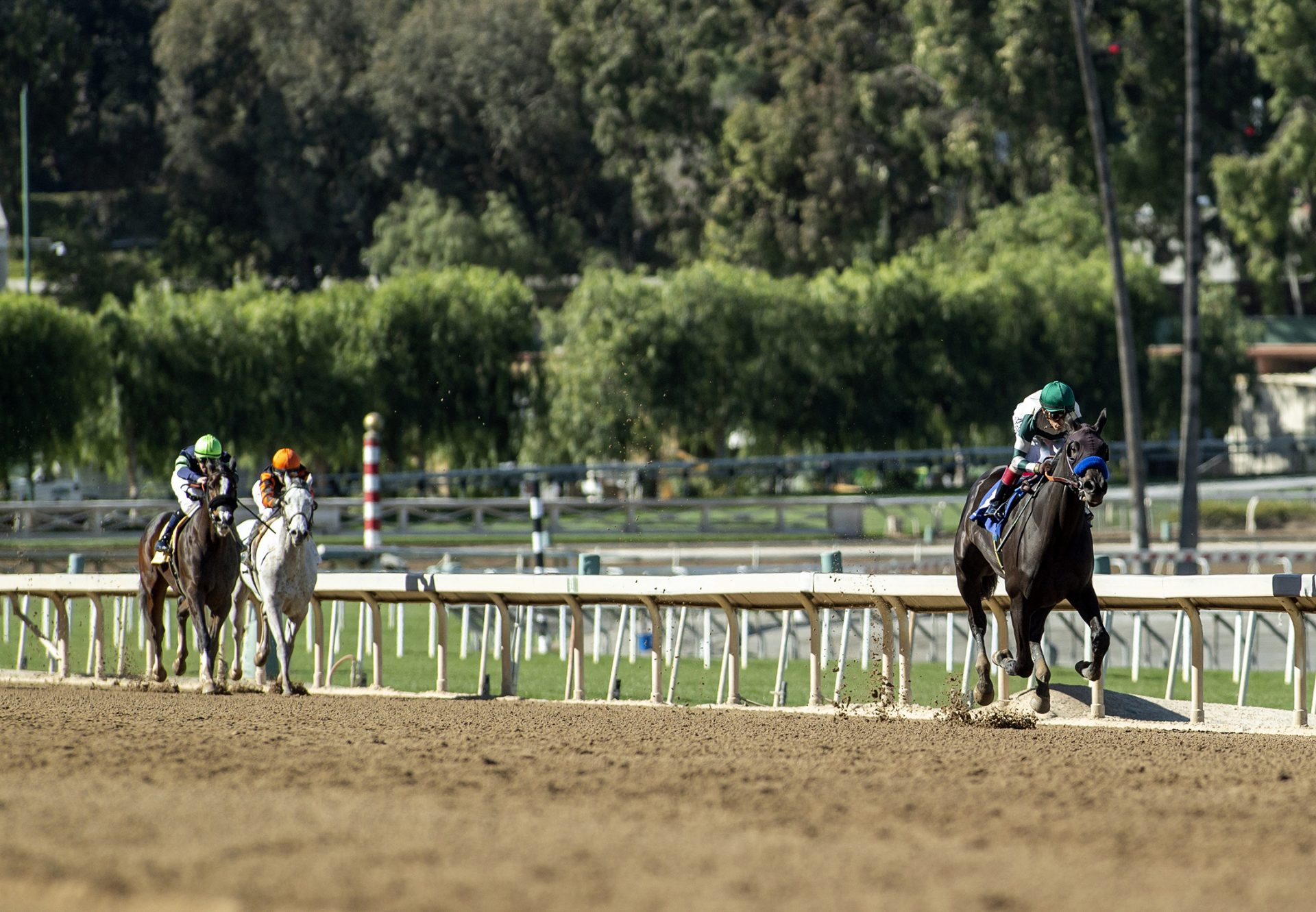 Adare Manor (Uncle Mo) winning the G3 Las Virgenes at Santa Anita