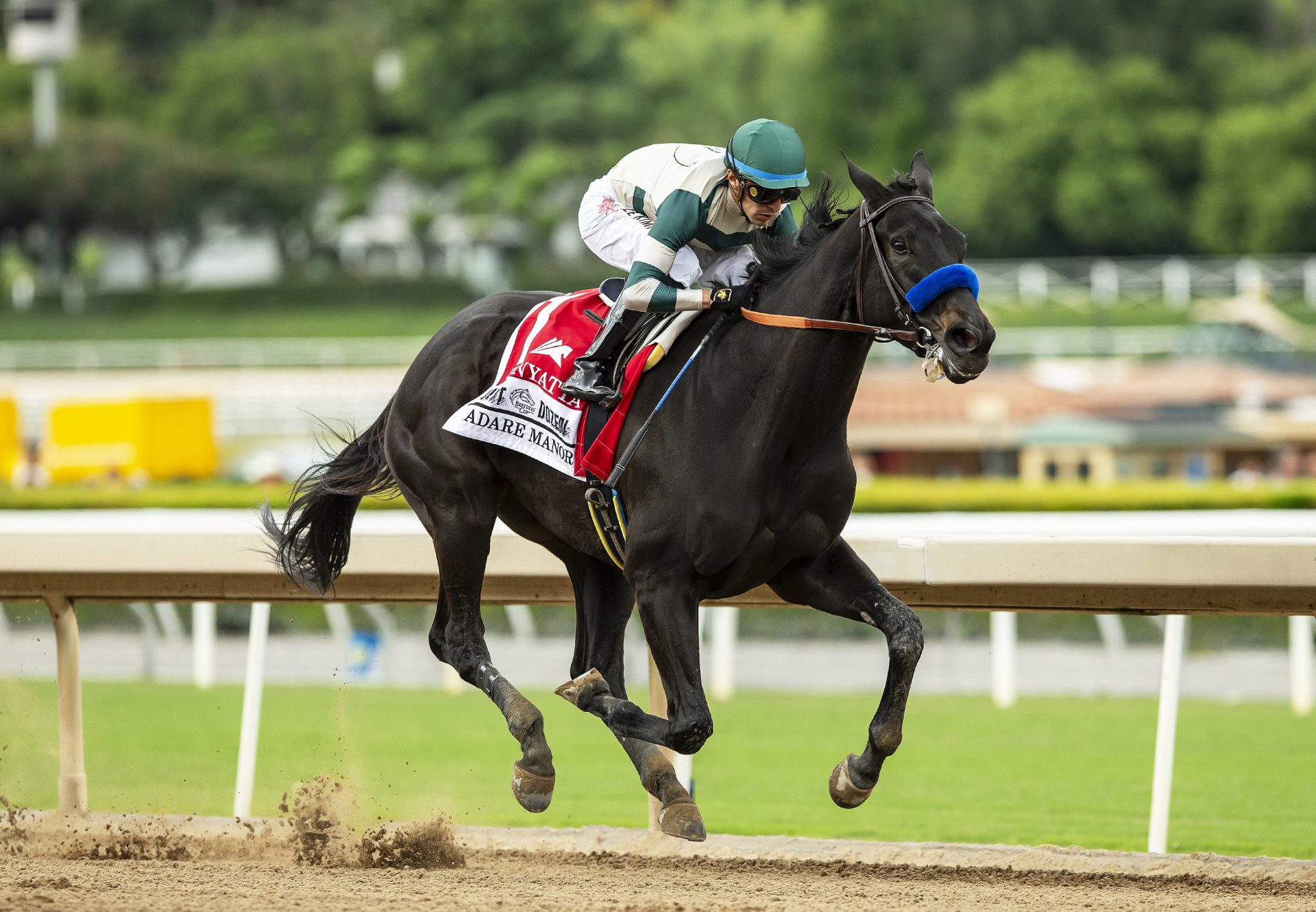 Adare Manor (Uncle Mo) winning the Gr.2 Zenyatta Stakes at Santa Anita