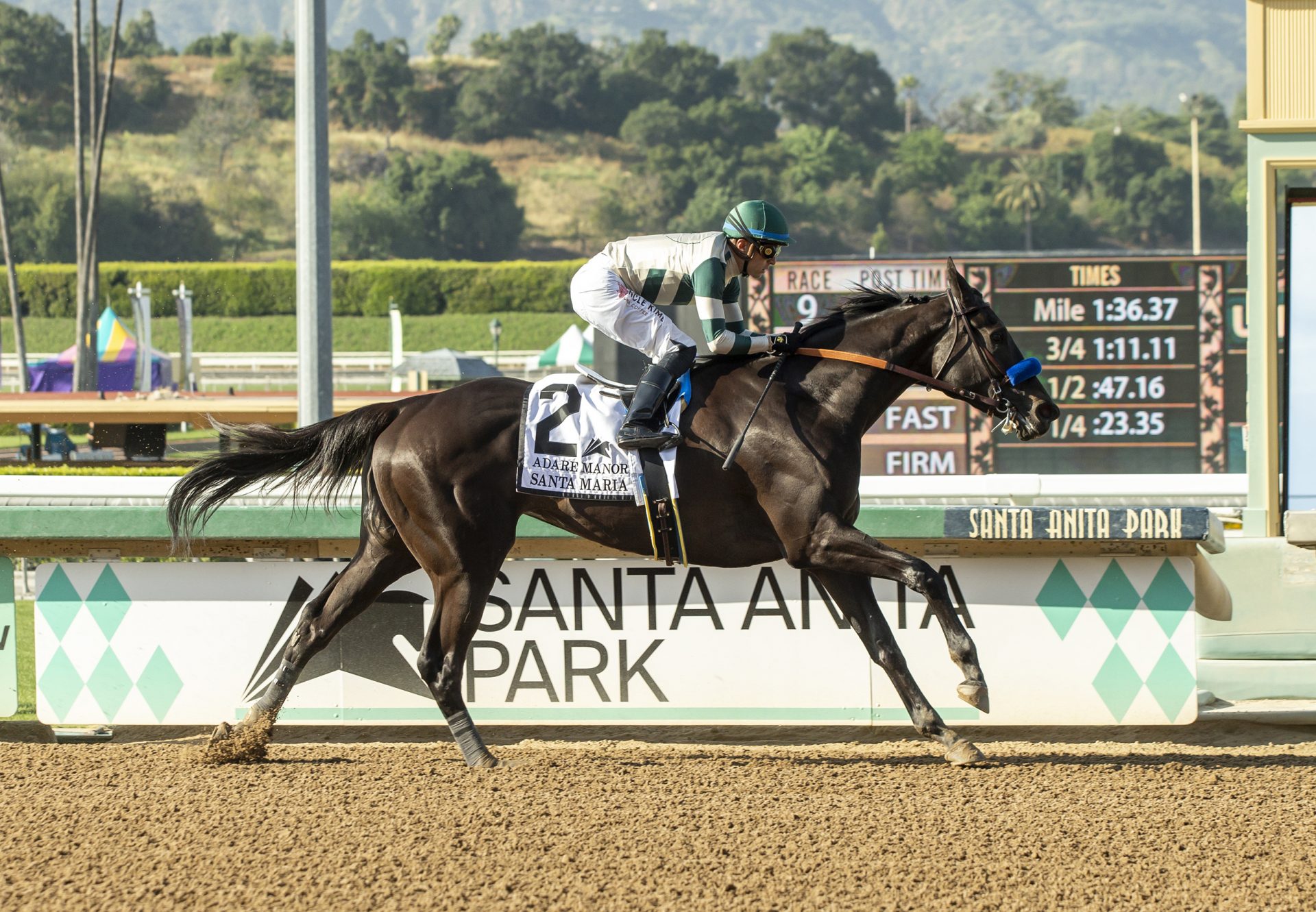 Adare Manor (Uncle Mo) Winning the Gr.2 Santa Maria Stakes at Santa Anita