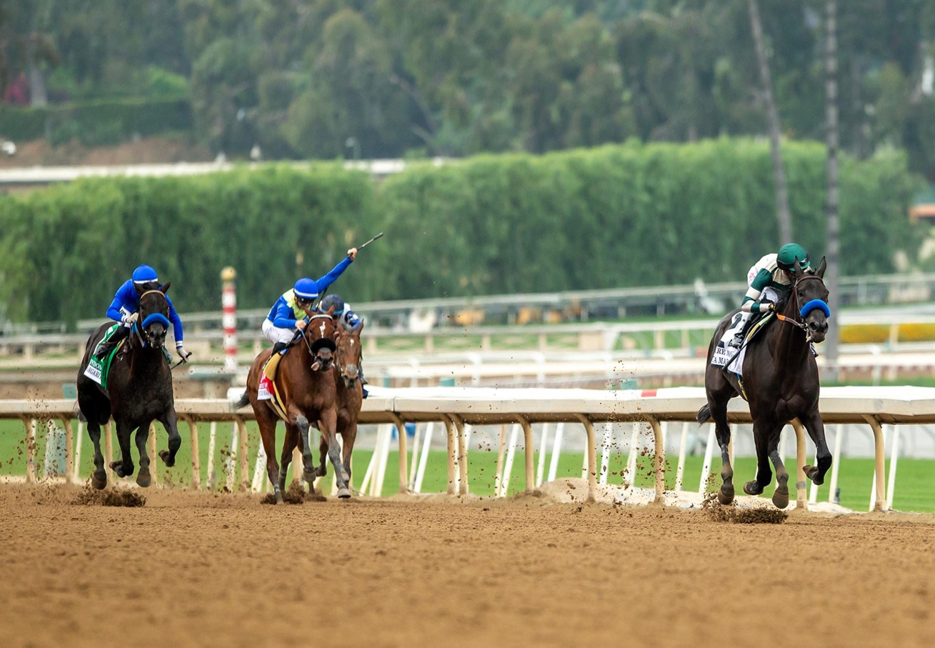 Adare Manor (Uncle Mo) Wins Gr.2 Santa Margarita Stakes at Santa Anita