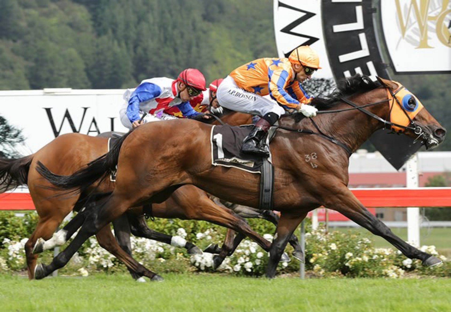 Age Of Fire (Fastnet Rock) winning the G1 New Zealand 2,000 Guineas