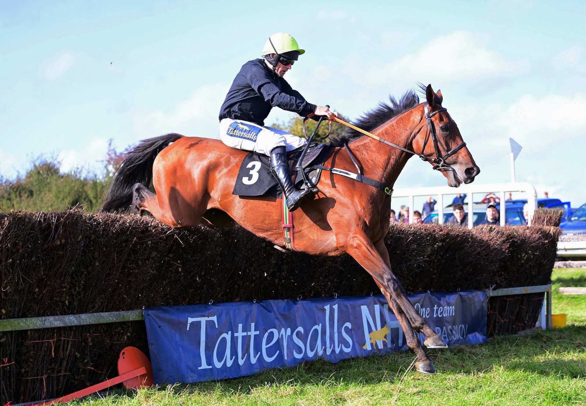 Agent Tequila (Getaway) Wins His Maiden At Casteltown Geoghegan