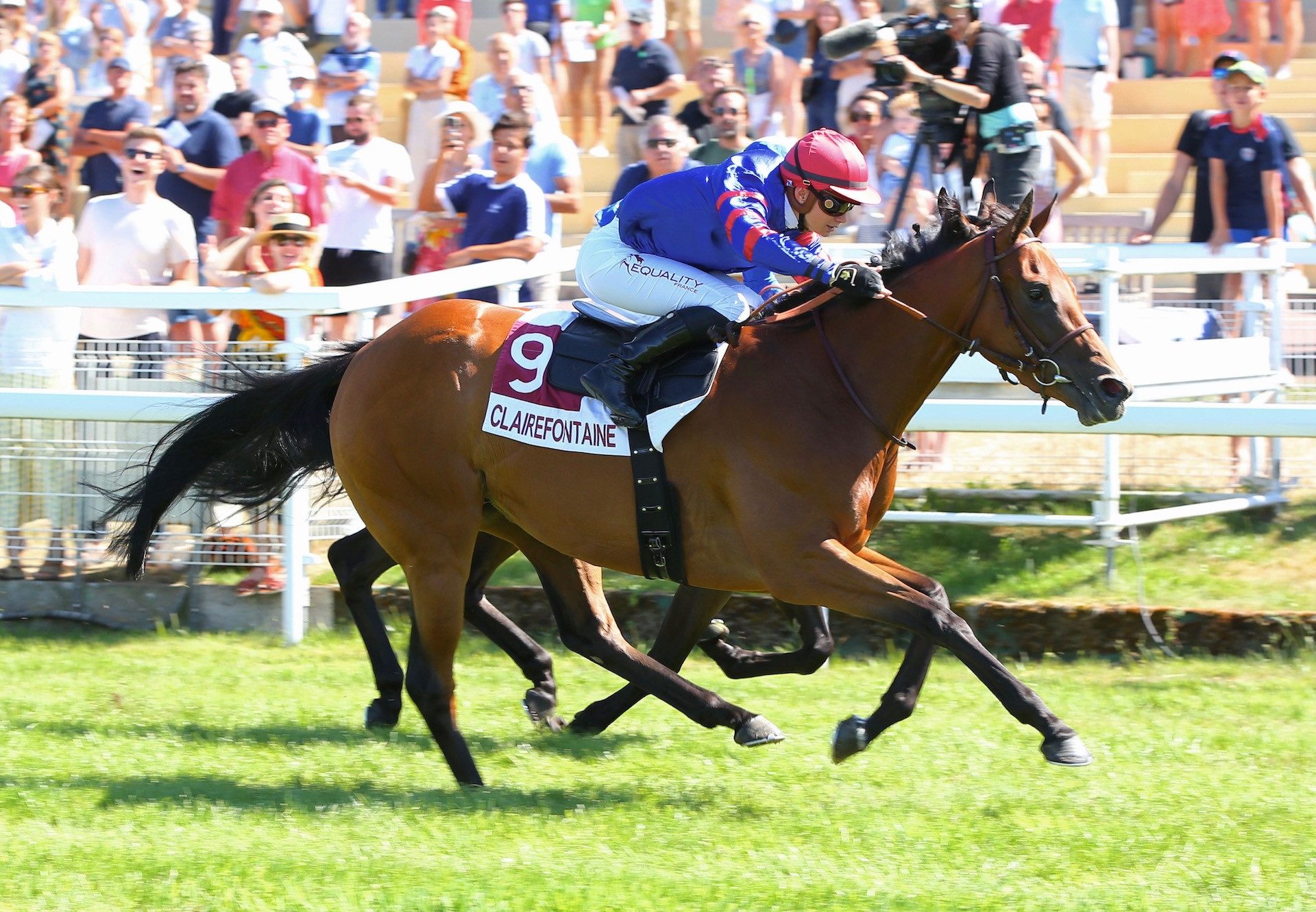 Agile (Rock Of Gibraltar) Wins Her Maiden At Clairefontaine