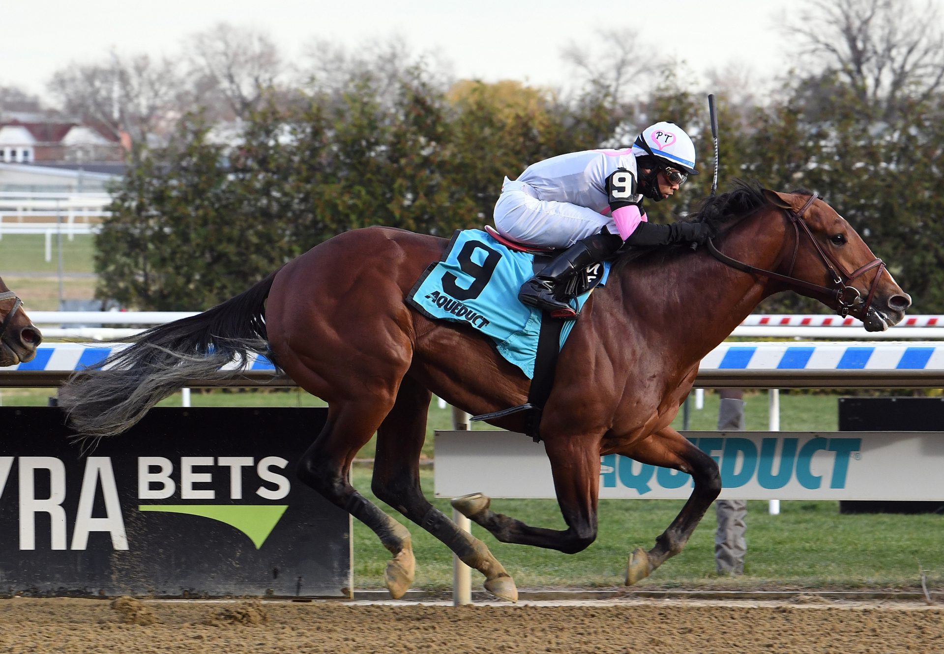 Agility (Practical Joke) winning Aqueduct MSW