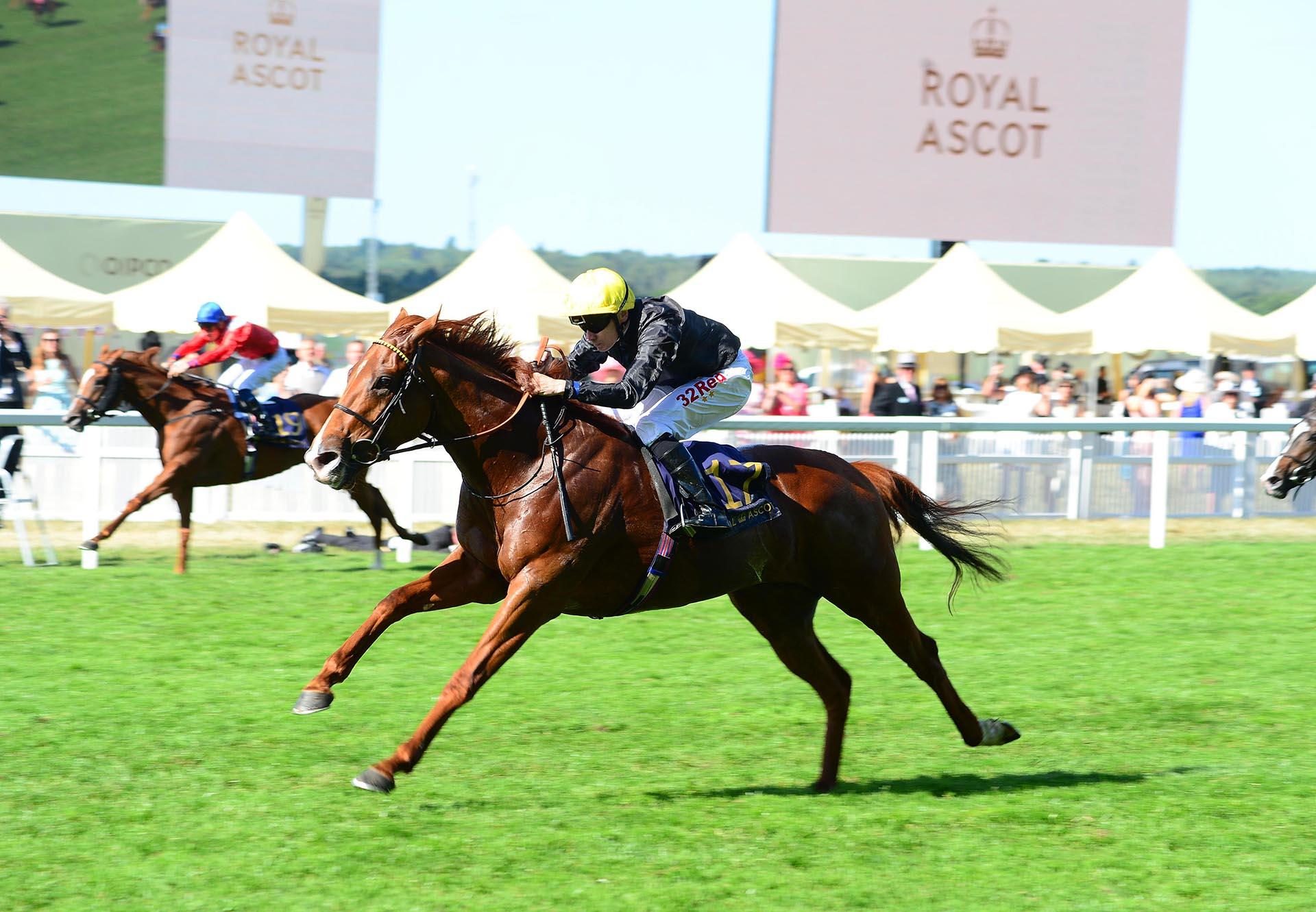 Agrotera (Mastercraftsman) winning the Listed Snowdrop Fillies’ Stakes at Kempton