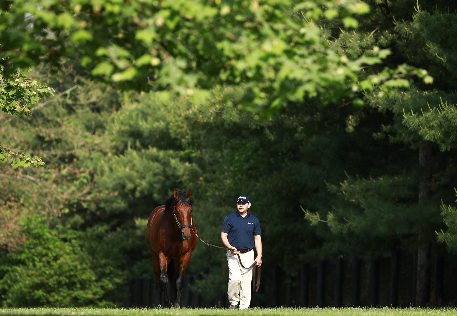 Air Force Blue At Paddock