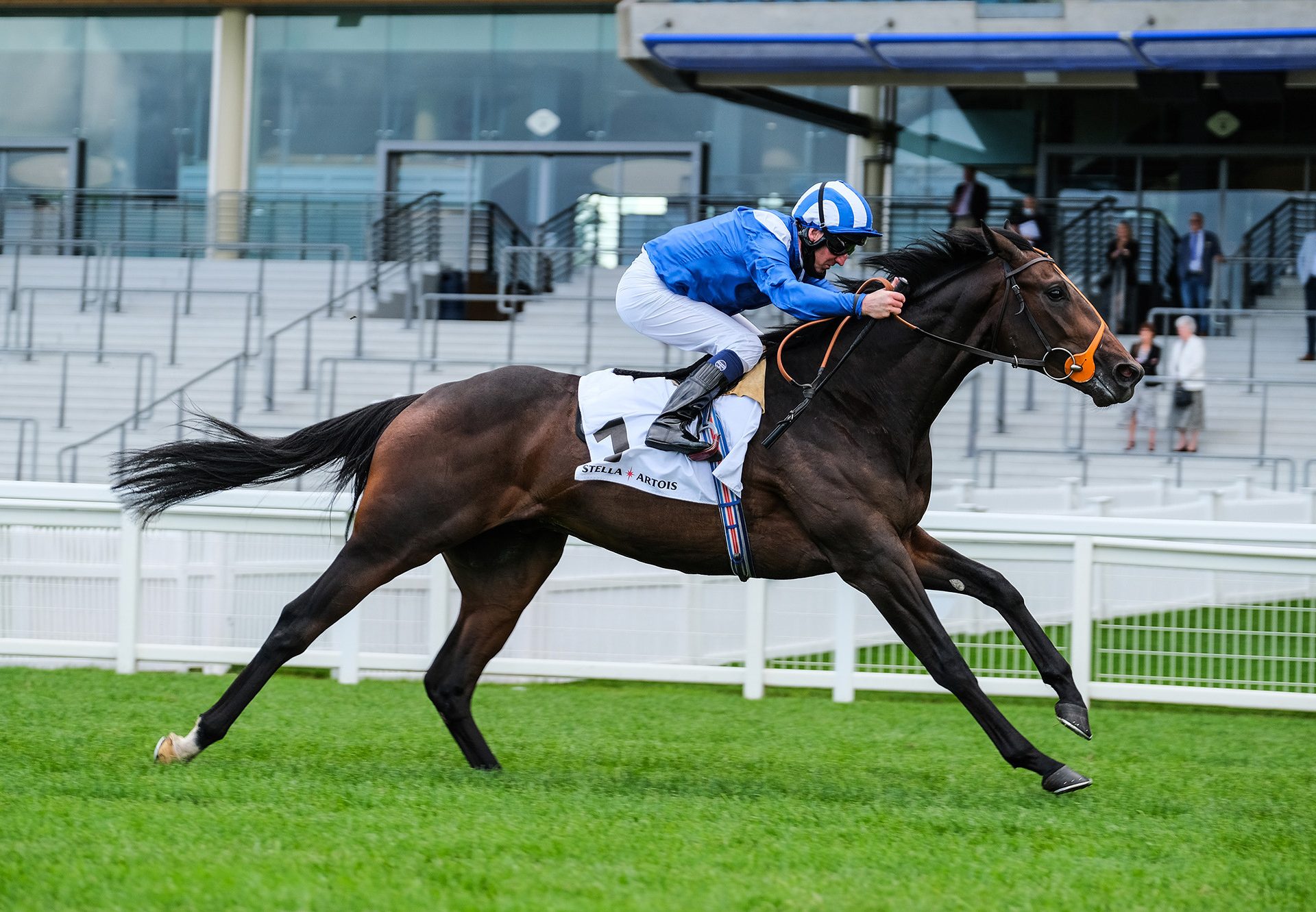 Akmaam (Wootton Bassett) winning at Ascot