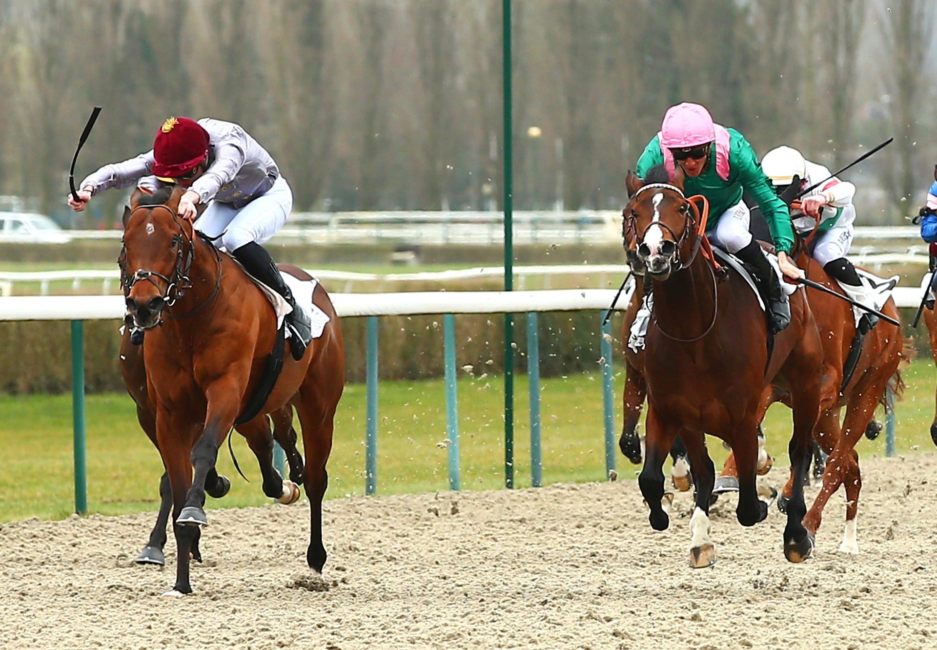 Al Aresh (Footstepsinthesand) Becomes The Latest Winner By Footstepsinthesand When Winning His Debut At Deauville