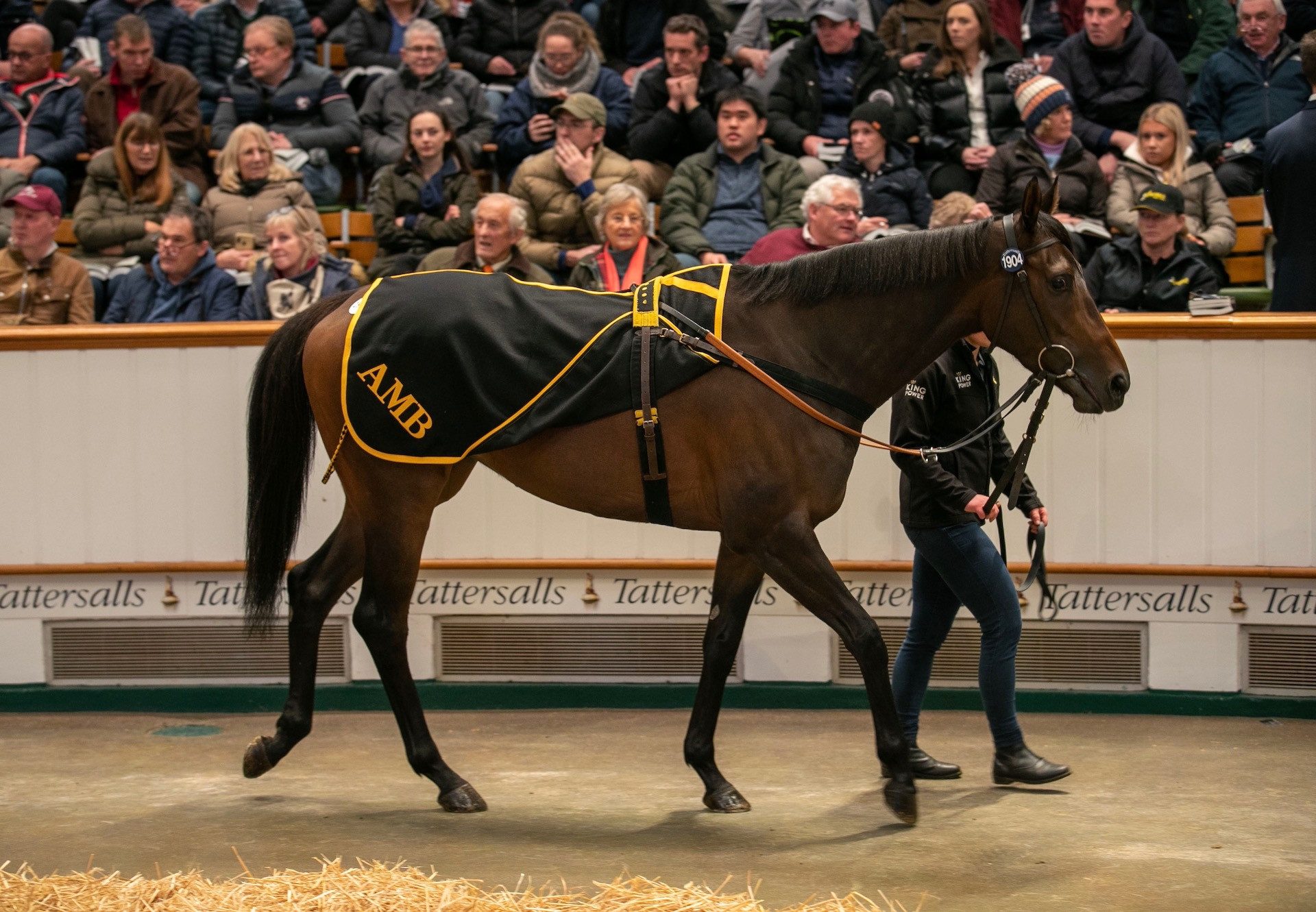 Alcohol Free (No Nay Never) sells for 5,400,000gns at Tattersalls
