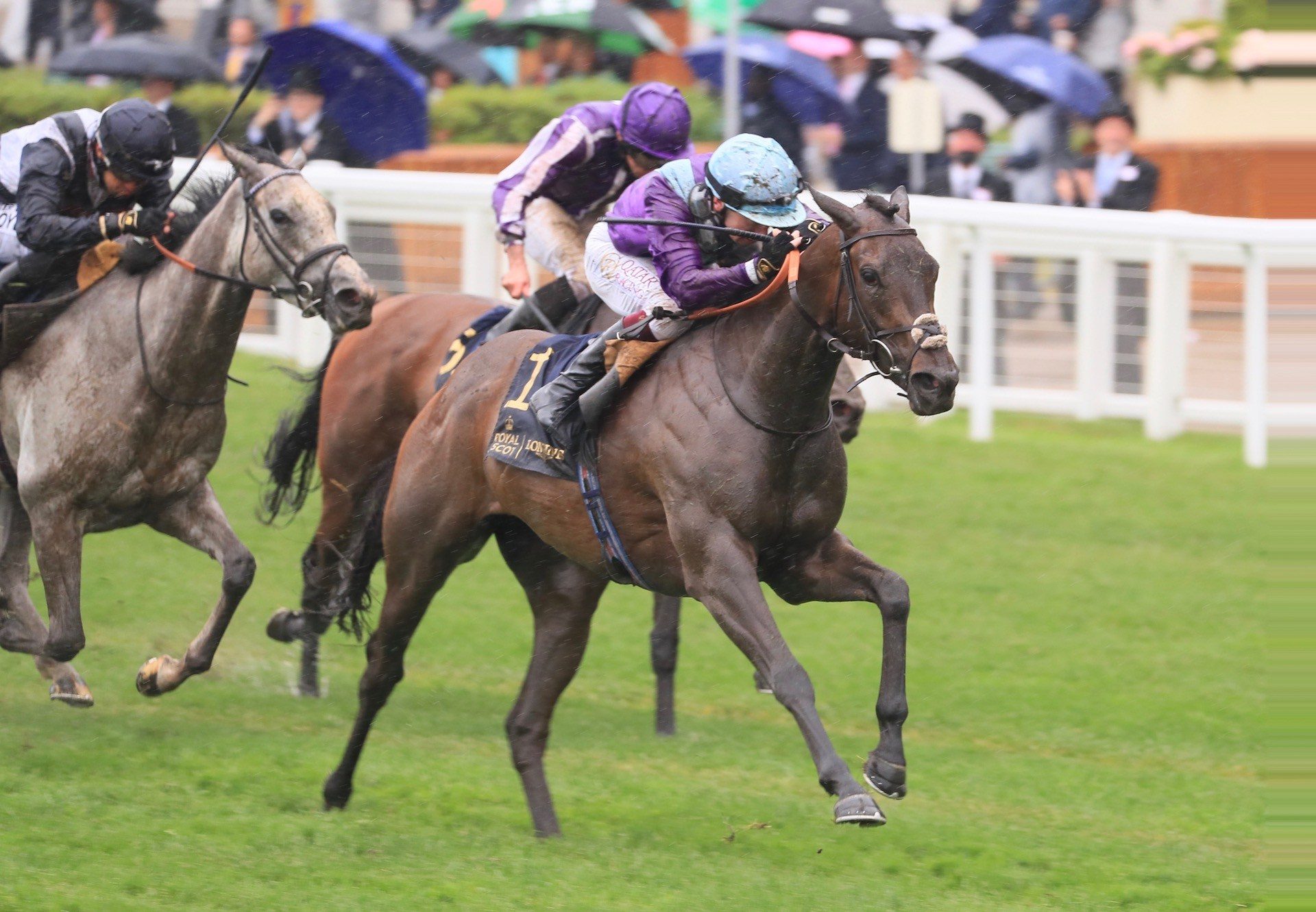 Alcohol Free (No Nay Never) Wins The Group 1 Coronation Stakes at Royal Ascot