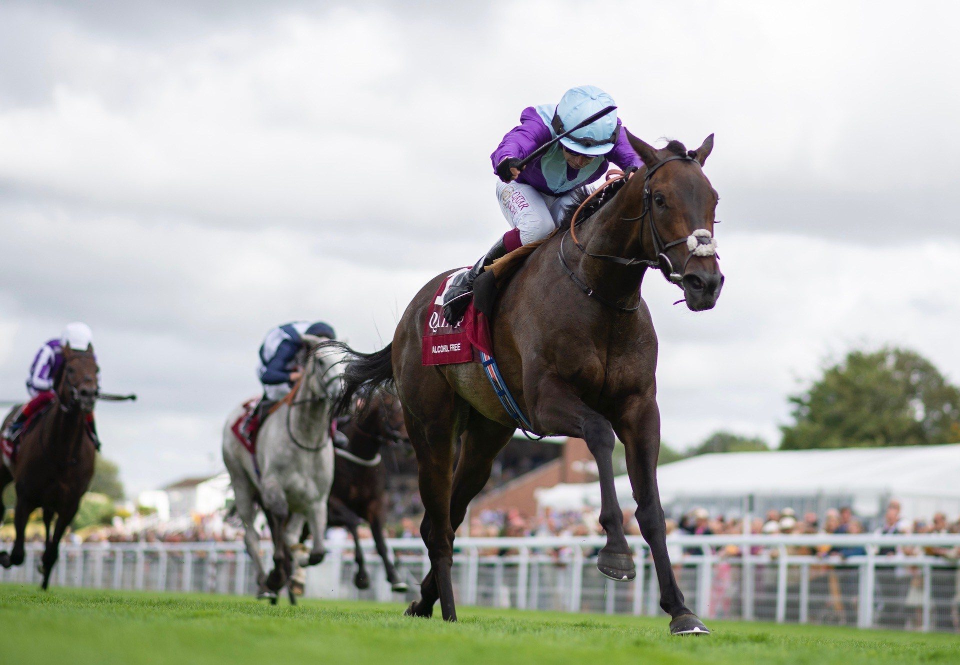 Alcohol Free (No Nay Never) Wins The Group 1 Sussex Stakes at Goodwood