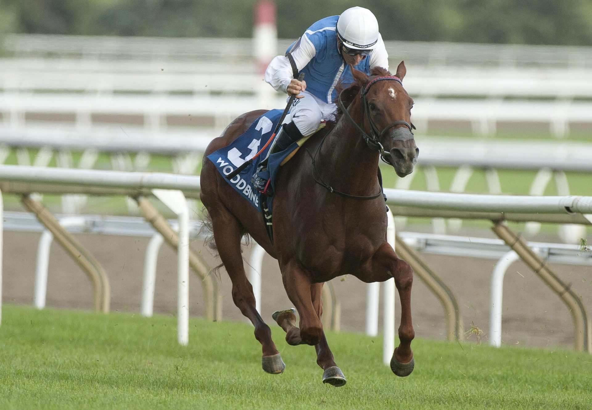 Alda (Munnings) Wins Catch A Glimpse Stakes At Woodbine